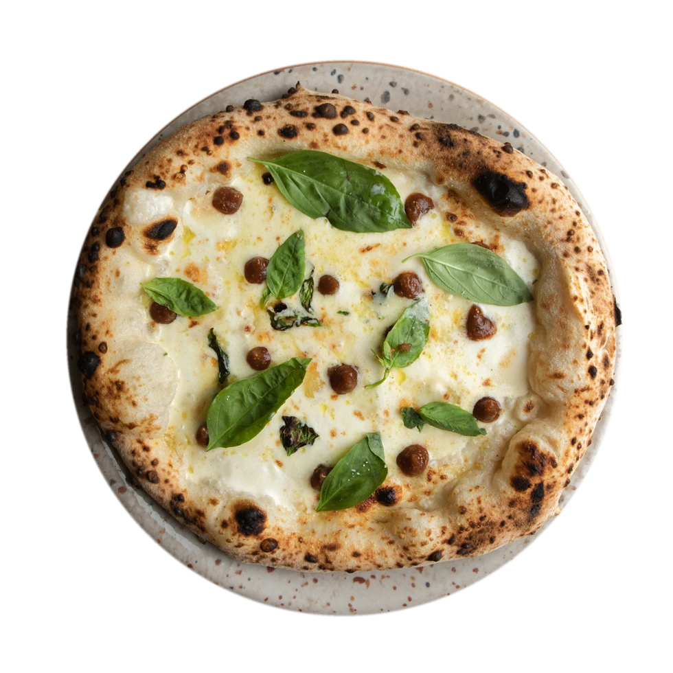 Speck&Cipolla